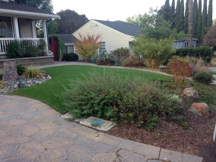 Best Artificial Grass Franksville, Wisconsin Lawn And Garden, Front Yard Landscape Ideas