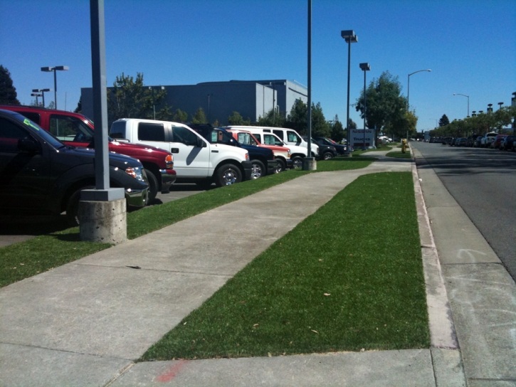 Best Artificial Grass Slinger, Wisconsin Design Ideas, Commercial Landscape