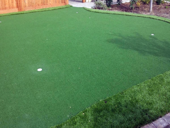 Best Artificial Grass Thiensville, Wisconsin Lawns