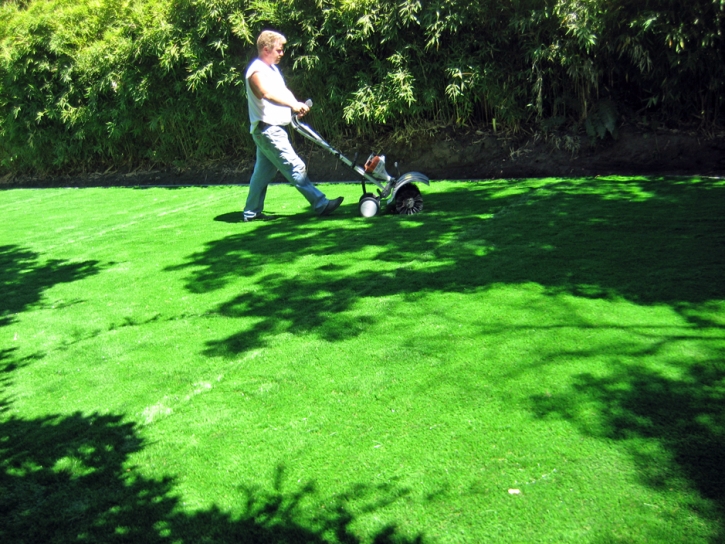Fake Grass Carpet Cashton, Wisconsin Lawn And Landscape, Backyard