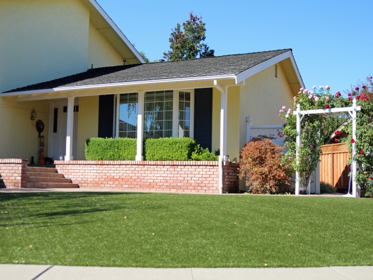 Fake Grass Monticello, Wisconsin Design Ideas, Landscaping Ideas For Front Yard
