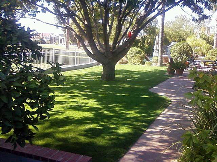 Fake Grass Weyauwega, Wisconsin Lawn And Landscape