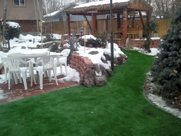 Fake Lawn Big Bend, Wisconsin City Landscape, Backyard Makeover