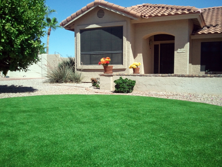 Fake Turf Oak Creek, Wisconsin Design Ideas, Landscaping Ideas For Front Yard