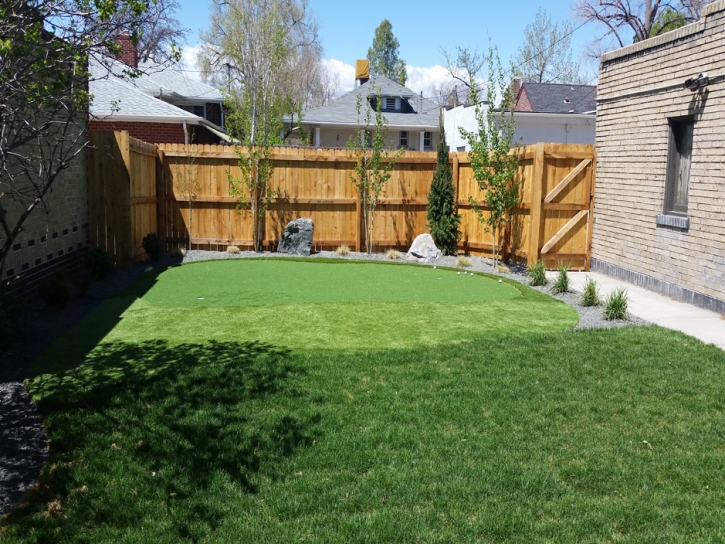 Grass Carpet Lake Geneva, Wisconsin Putting Green Carpet, Backyard Landscape Ideas