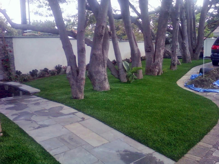 Grass Carpet Shawano, Wisconsin City Landscape, Front Yard Landscape Ideas