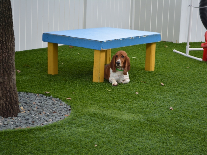 Grass Installation Casco, Wisconsin Cat Playground, Dogs Runs
