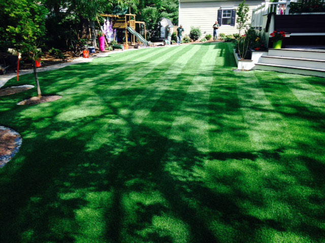 Grass Installation Manawa, Wisconsin Landscape Photos, Small Backyard Ideas