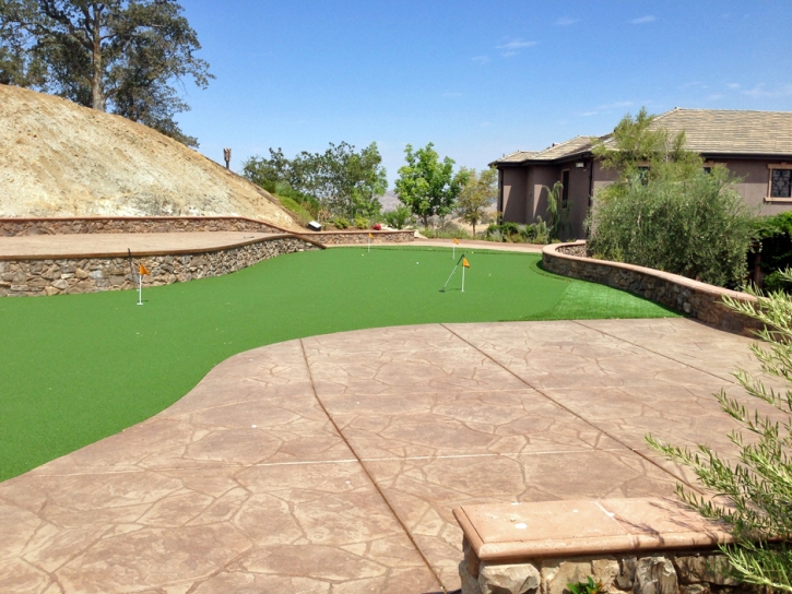 Grass Turf Lancaster, Wisconsin Best Indoor Putting Green, Backyards