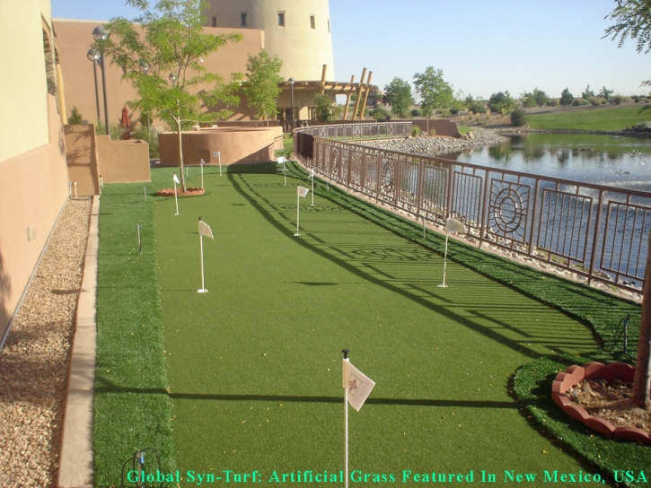 How To Install Artificial Grass Saint Francis, Wisconsin Golf Green, Backyard Design