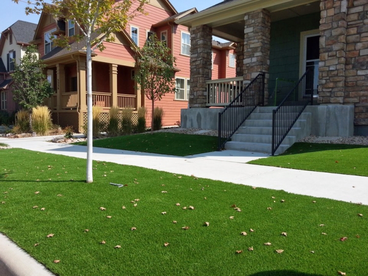 Installing Artificial Grass Menomonee Falls, Wisconsin Design Ideas, Front Yard Ideas