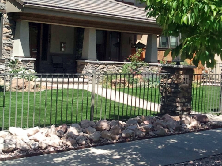 Outdoor Carpet Greendale, Wisconsin Lawn And Landscape, Front Yard