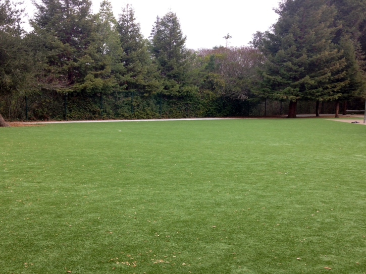 Plastic Grass Dellwood, Wisconsin Landscape Design, Recreational Areas