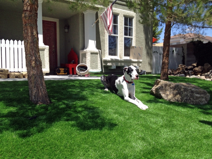 Plastic Grass Kimberly, Wisconsin Roof Top, Front Yard Landscaping Ideas