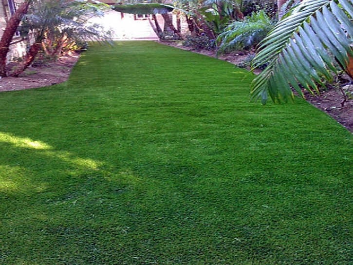 Plastic Grass Sharon, Wisconsin Landscaping, Backyards