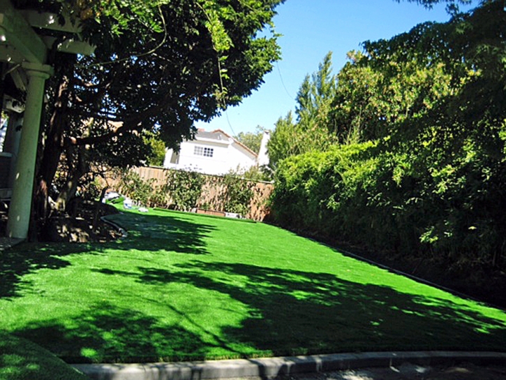 Synthetic Grass Browns Lake, Wisconsin Rooftop, Backyard Ideas
