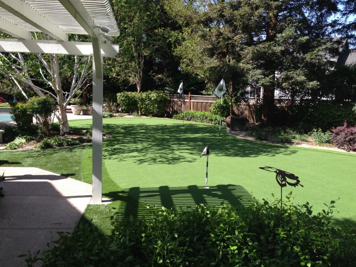 Synthetic Grass Cost Black Creek, Wisconsin Lawns