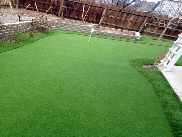 Synthetic Grass Cost Dane, Wisconsin Lawns, Small Backyard Ideas