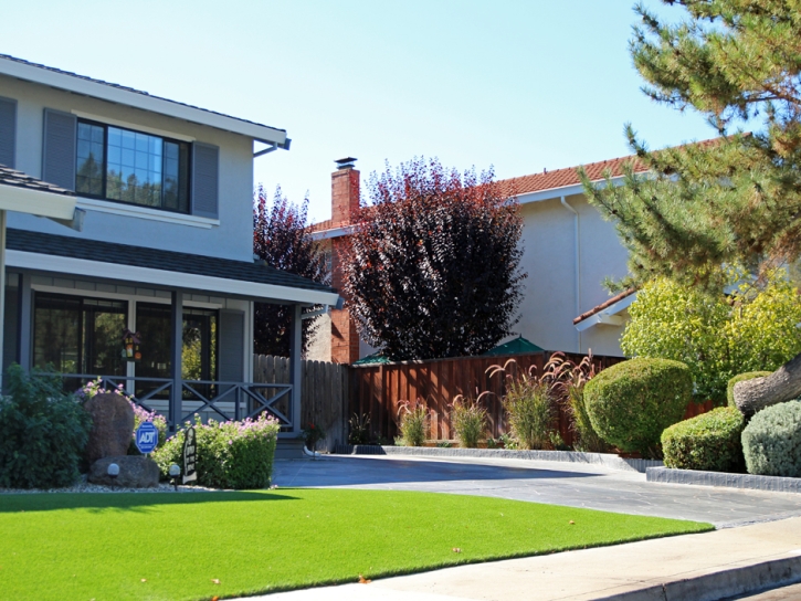 Synthetic Grass Cost Elkhorn, Wisconsin Roof Top, Front Yard Landscape Ideas