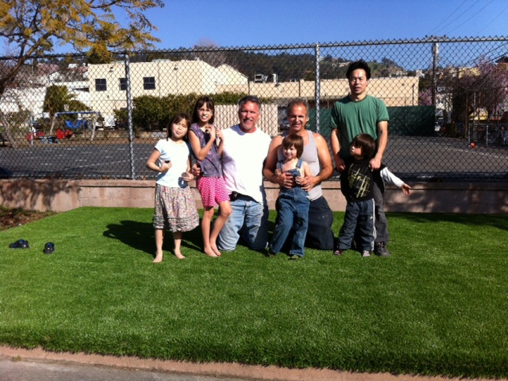 Synthetic Grass Cost Montello, Wisconsin City Landscape, Commercial Landscape