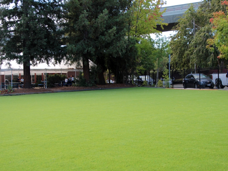 Synthetic Grass Cost Park Ridge, Wisconsin Landscaping, Commercial Landscape