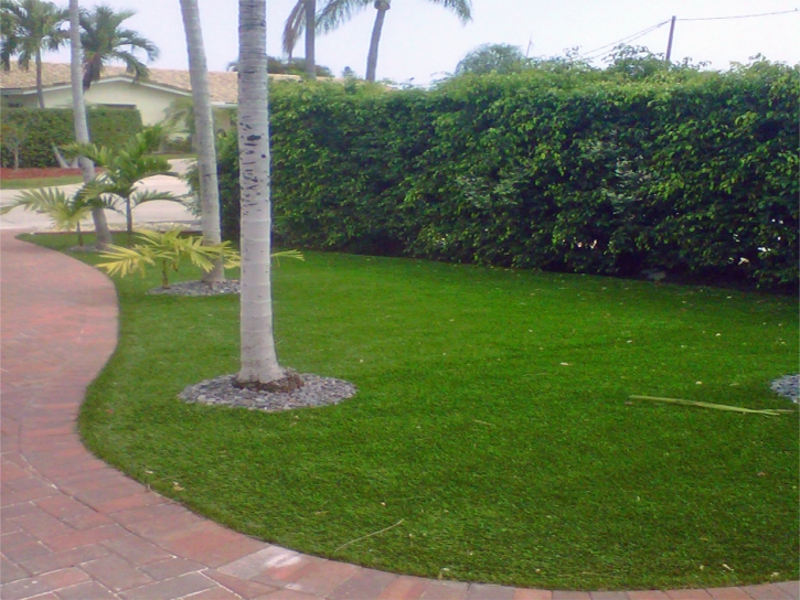 Synthetic Grass Cost Reedsville, Wisconsin City Landscape, Front Yard Landscape Ideas