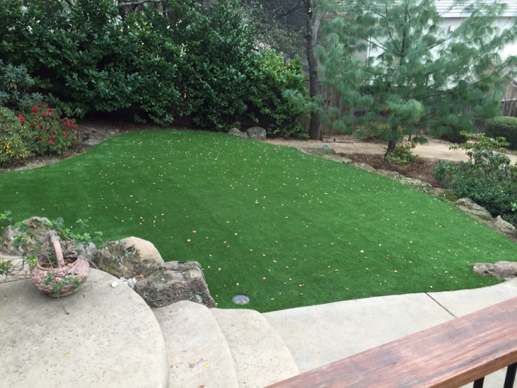 Synthetic Grass Monroe, Wisconsin Home And Garden, Backyard Landscaping