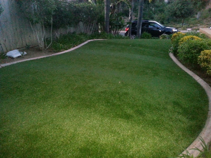Synthetic Grass Plain, Wisconsin Rooftop, Front Yard