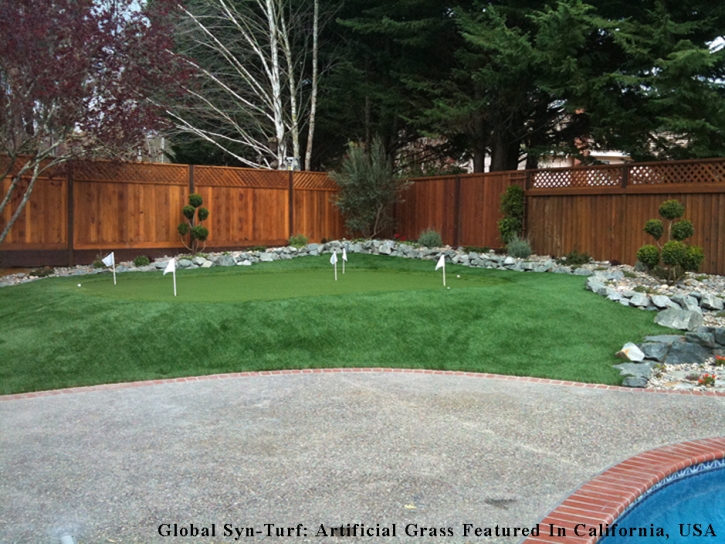 Synthetic Lawn Brown Deer, Wisconsin Putting Green, Backyard Garden Ideas