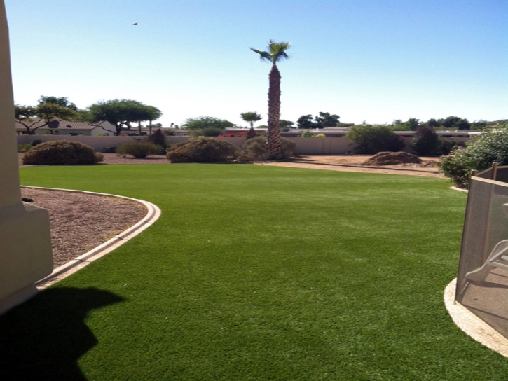 Synthetic Lawn Eagle, Wisconsin Gardeners, Backyards