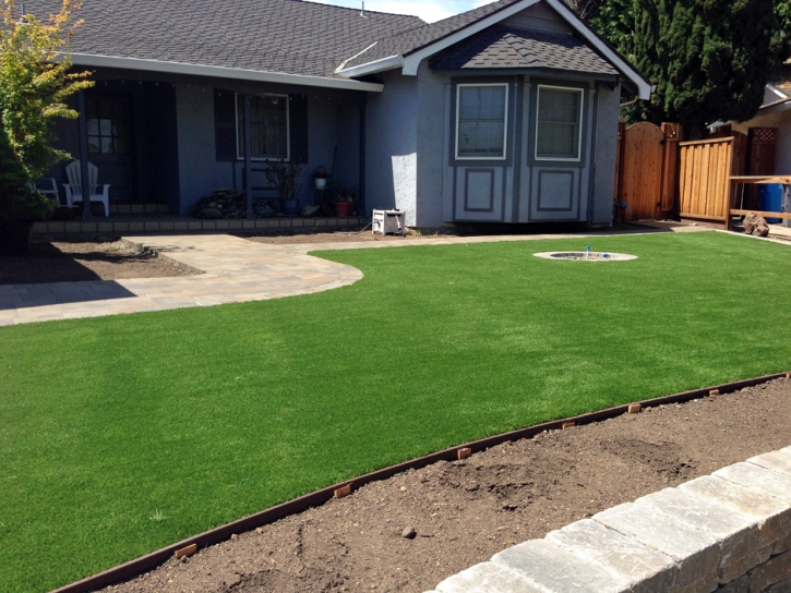 Synthetic Lawn Kohler, Wisconsin Gardeners, Front Yard Design