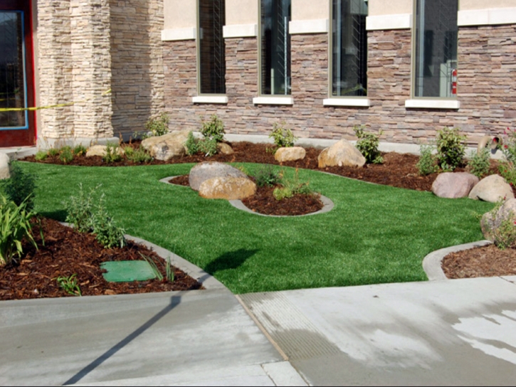 Synthetic Lawn Palmyra, Wisconsin Landscaping Business, Commercial Landscape