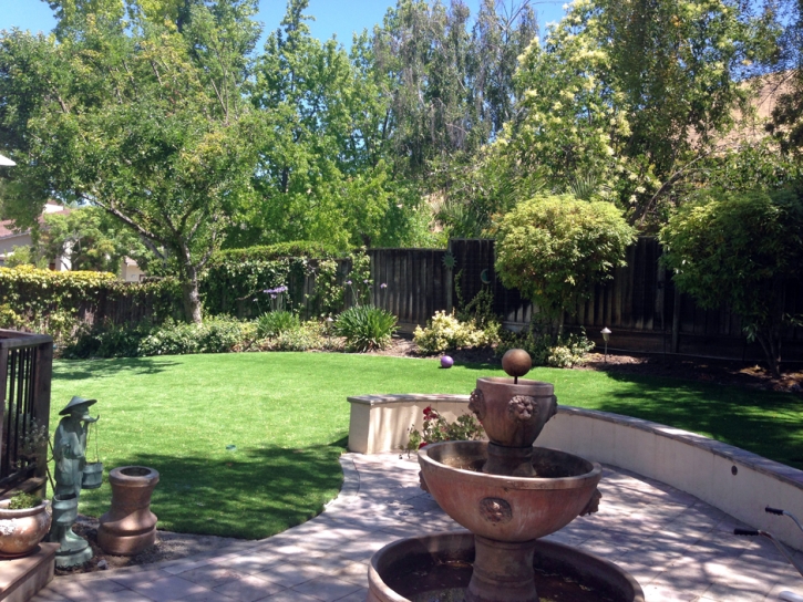 Synthetic Lawn Sullivan, Wisconsin Landscape Ideas, Backyard Garden Ideas