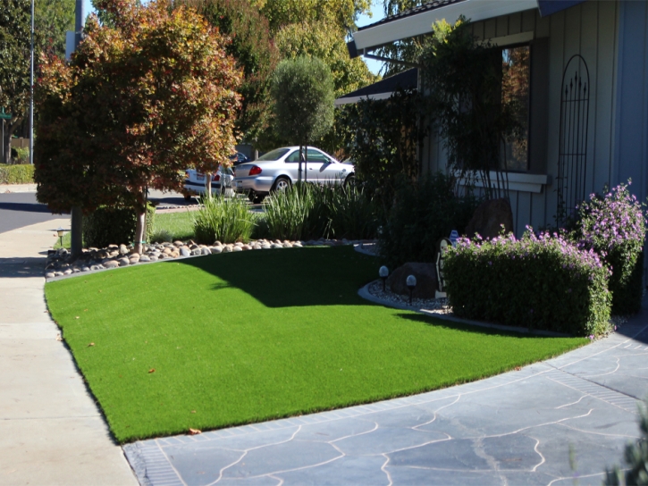 Synthetic Turf Blue River, Wisconsin Design Ideas, Front Yard Landscaping Ideas