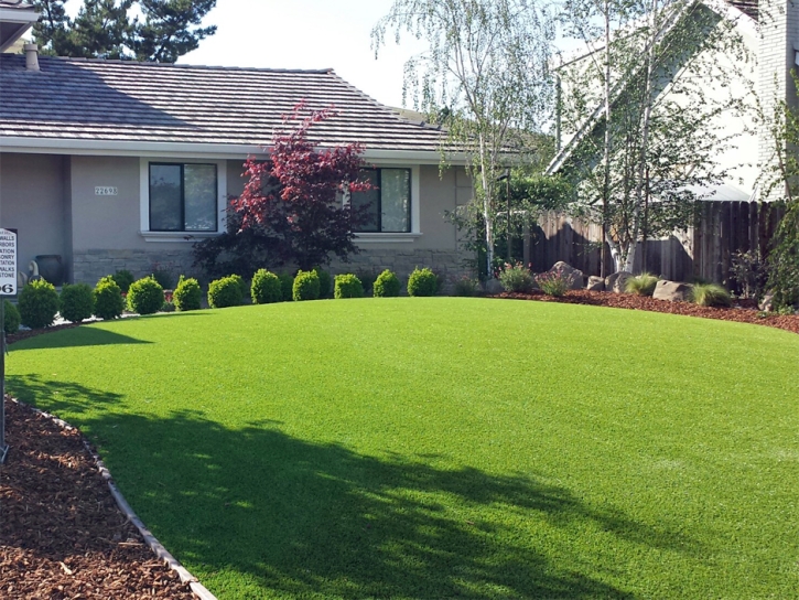 Synthetic Turf Clinton, Wisconsin City Landscape, Front Yard Ideas