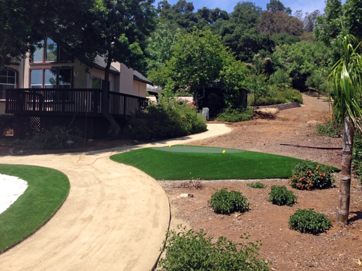 Synthetic Turf Clinton, Wisconsin Home And Garden, Small Front Yard Landscaping