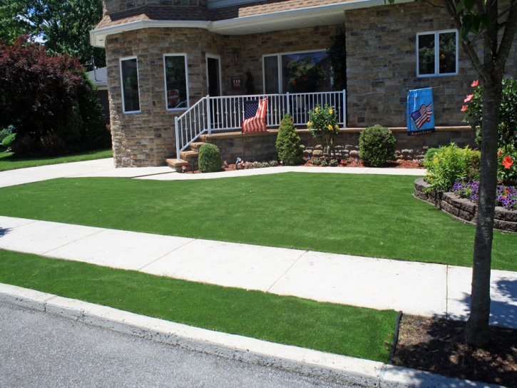 Synthetic Turf Elmwood Park, Wisconsin Rooftop, Landscaping Ideas For Front Yard
