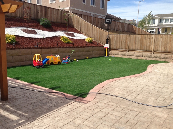 Synthetic Turf Hollandale, Wisconsin Playground Flooring, Small Backyard Ideas