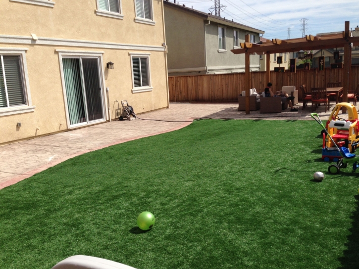 Synthetic Turf Loganville, Wisconsin Playground, Backyard Garden Ideas