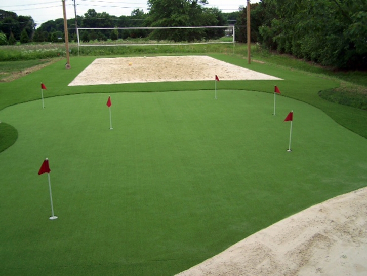 Synthetic Turf Supplier Brownsville, Wisconsin Roof Top, Backyard Design