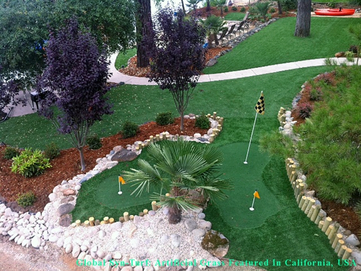 Synthetic Turf Supplier Milwaukee, Wisconsin Rooftop, Backyard Design