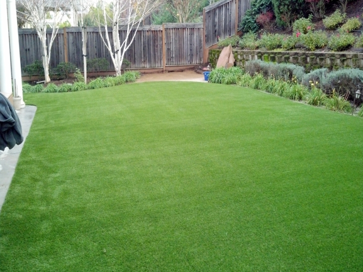 Synthetic Turf Supplier Neshkoro, Wisconsin Backyard Deck Ideas, Backyard Landscape Ideas