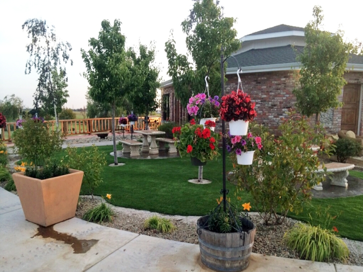 Turf Grass Burlington, Wisconsin Landscape Ideas, Commercial Landscape