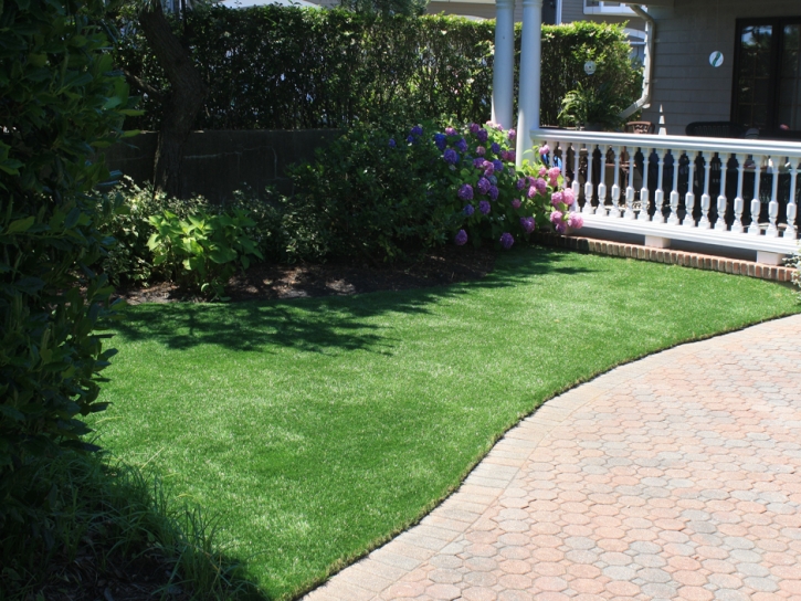 Turf Grass Evergreen, Wisconsin Artificial Turf For Dogs, Landscaping Ideas For Front Yard