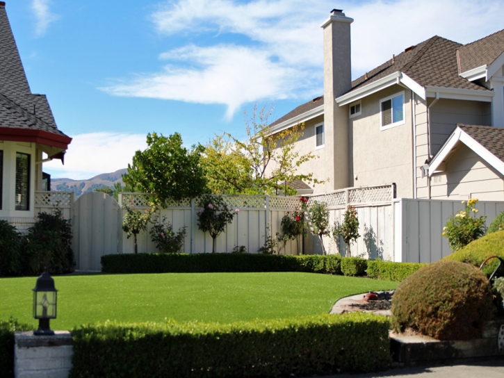Turf Grass Port Edwards, Wisconsin Backyard Playground, Front Yard Landscape Ideas