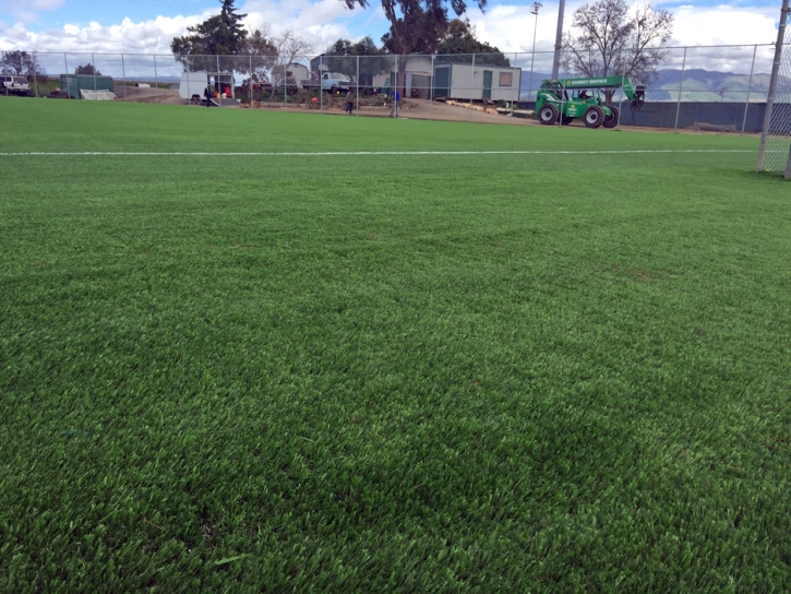 Turf Grass Princeton, Wisconsin Sports Athority