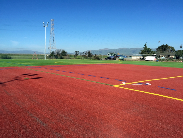 Turf Grass Verona, Wisconsin High School Sports