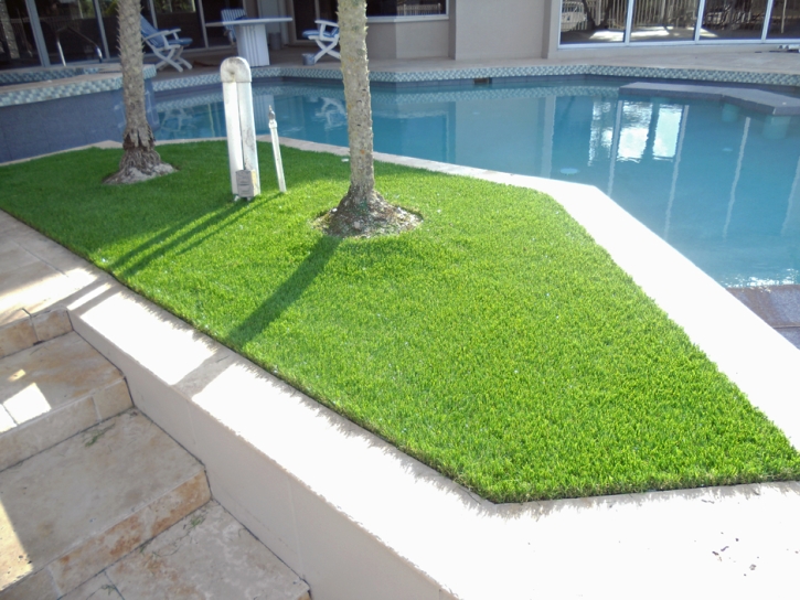 Turf Grass Waterford, Wisconsin Lawns, Backyard Makeover