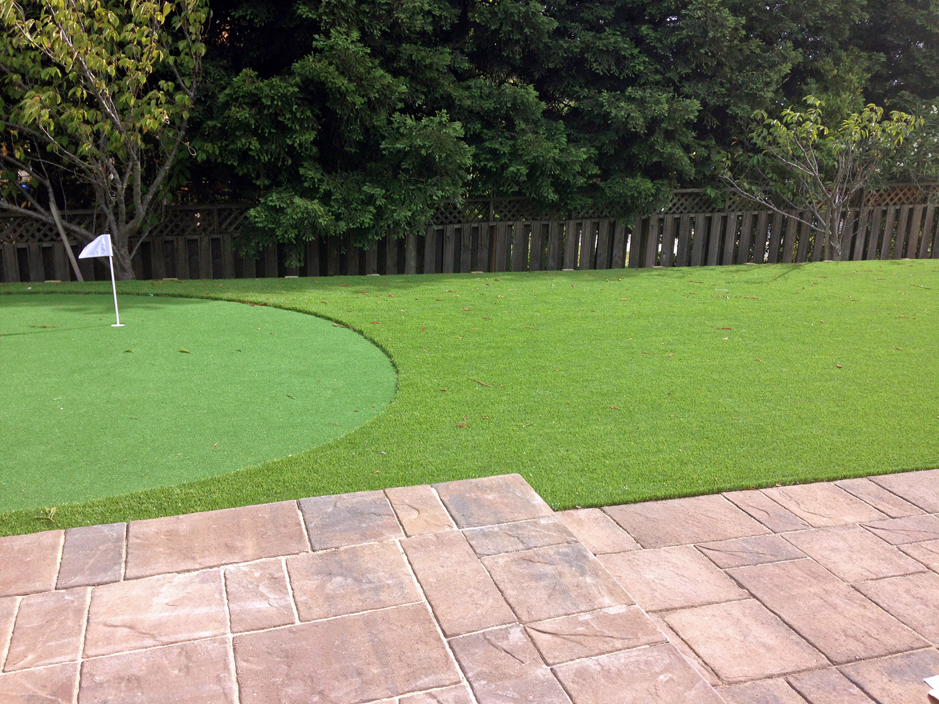 Fake Turf Somers Wisconsin Artificial Putting Greens Backyard Fake Turf Somers Wisconsin Artificial