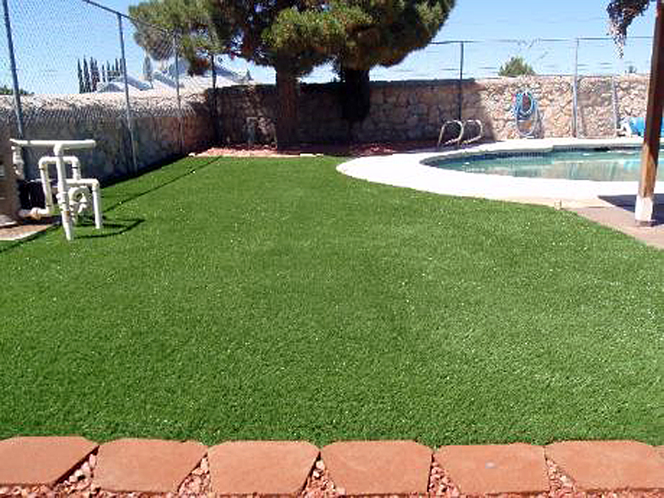 Synthetic Lawn Horicon Wisconsin Watch Dogs Backyard Pool Lawn Horicon Wisconsin Watch Dogs